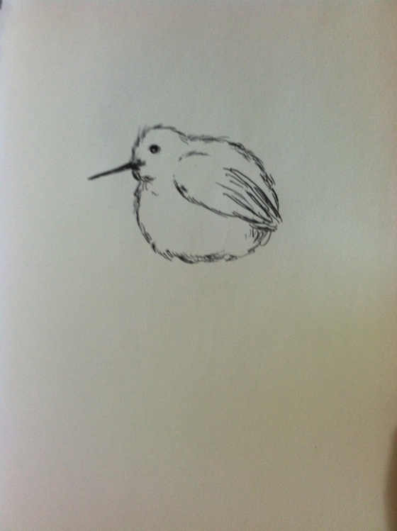 ("Puffy Bird". Thursday 8/14/14. Pen.)